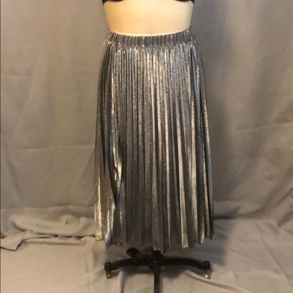 Love in Dresses & Skirts - NWOT Silver Pleated Skirt